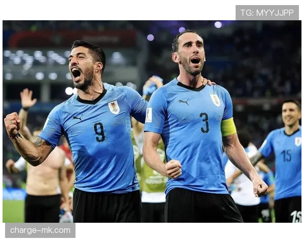 乌拉圭队赛场激情迸发 精彩表现引发关注