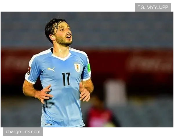 乌拉圭队青训实力持续提升，年轻球员表现稳健