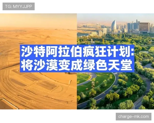 沙特队2026世界杯阵容预测：归化球员能否助沙漠绿鹰突破小组赛